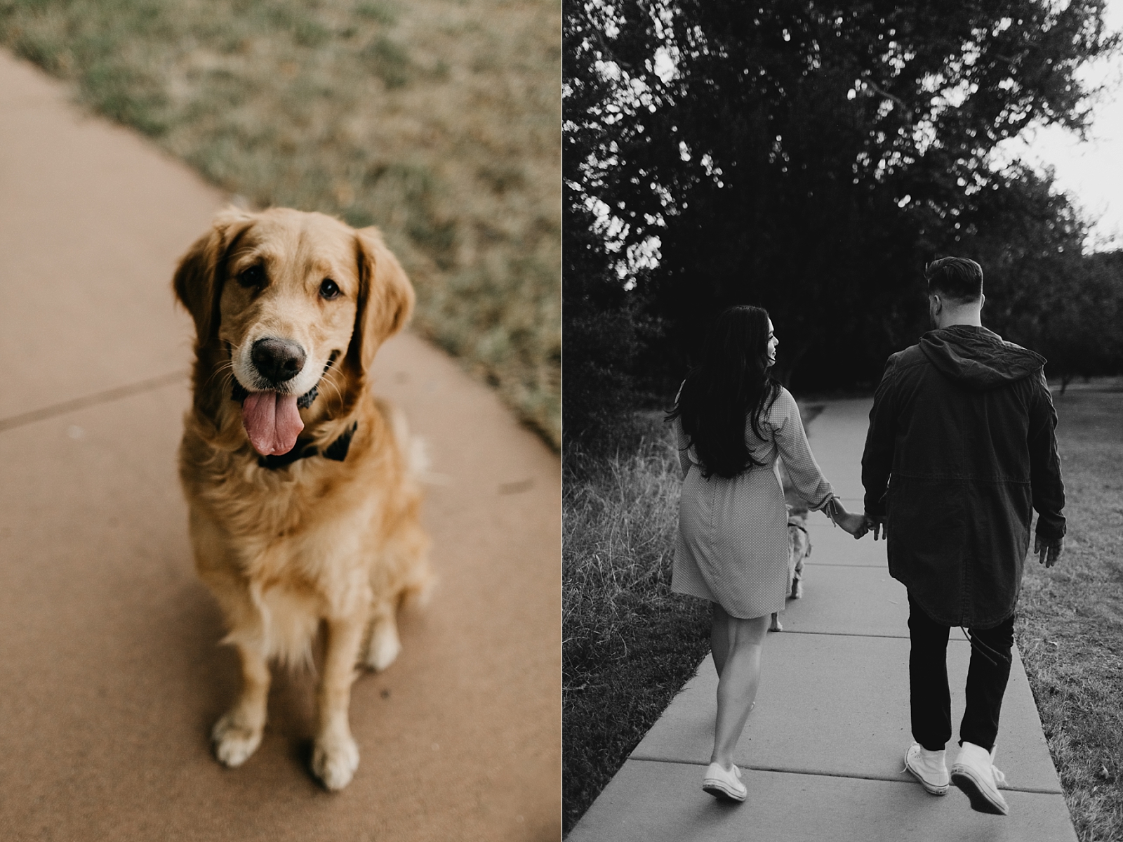 couple and their pet dog Red rock crossing park engagement pictures Sedona AZ Samantha Patri Photography