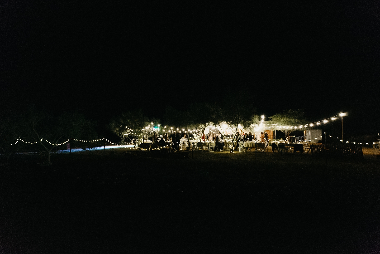 diy string lights phoenix desert backyard wedding reception photos new river az arizona samantha patri photography