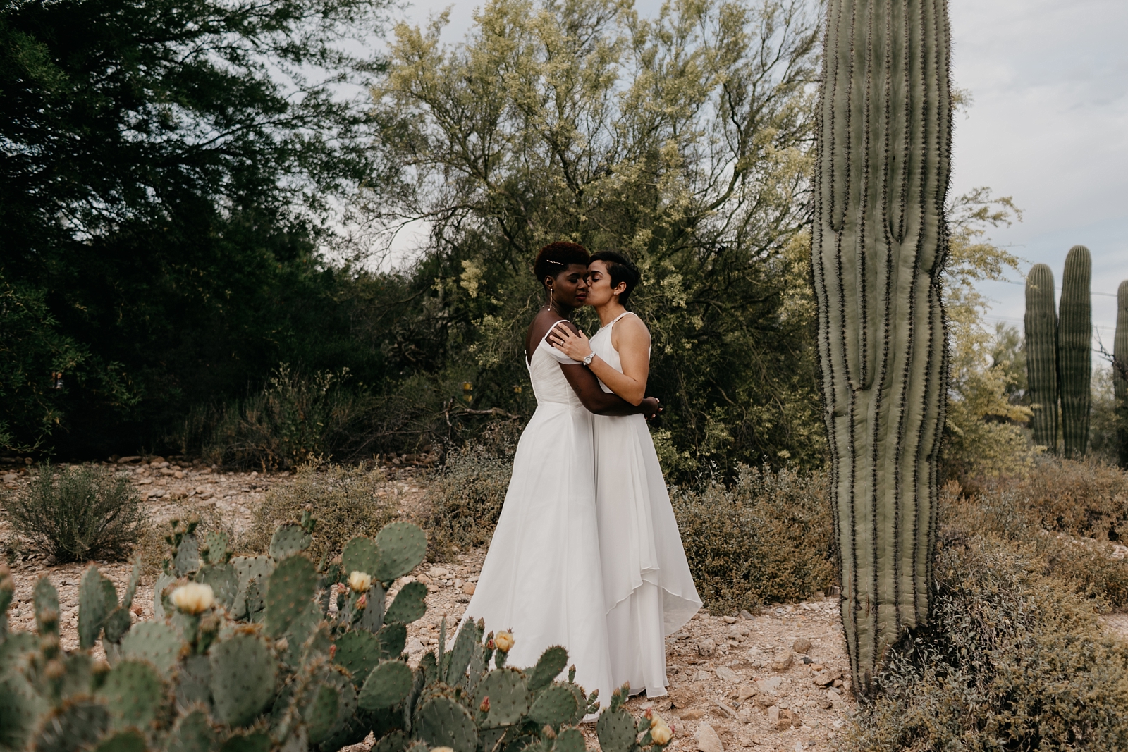 lesbian desert backyard wedding photos lgbtq Tucson AZ wedding photographer Samantha Patri Photography