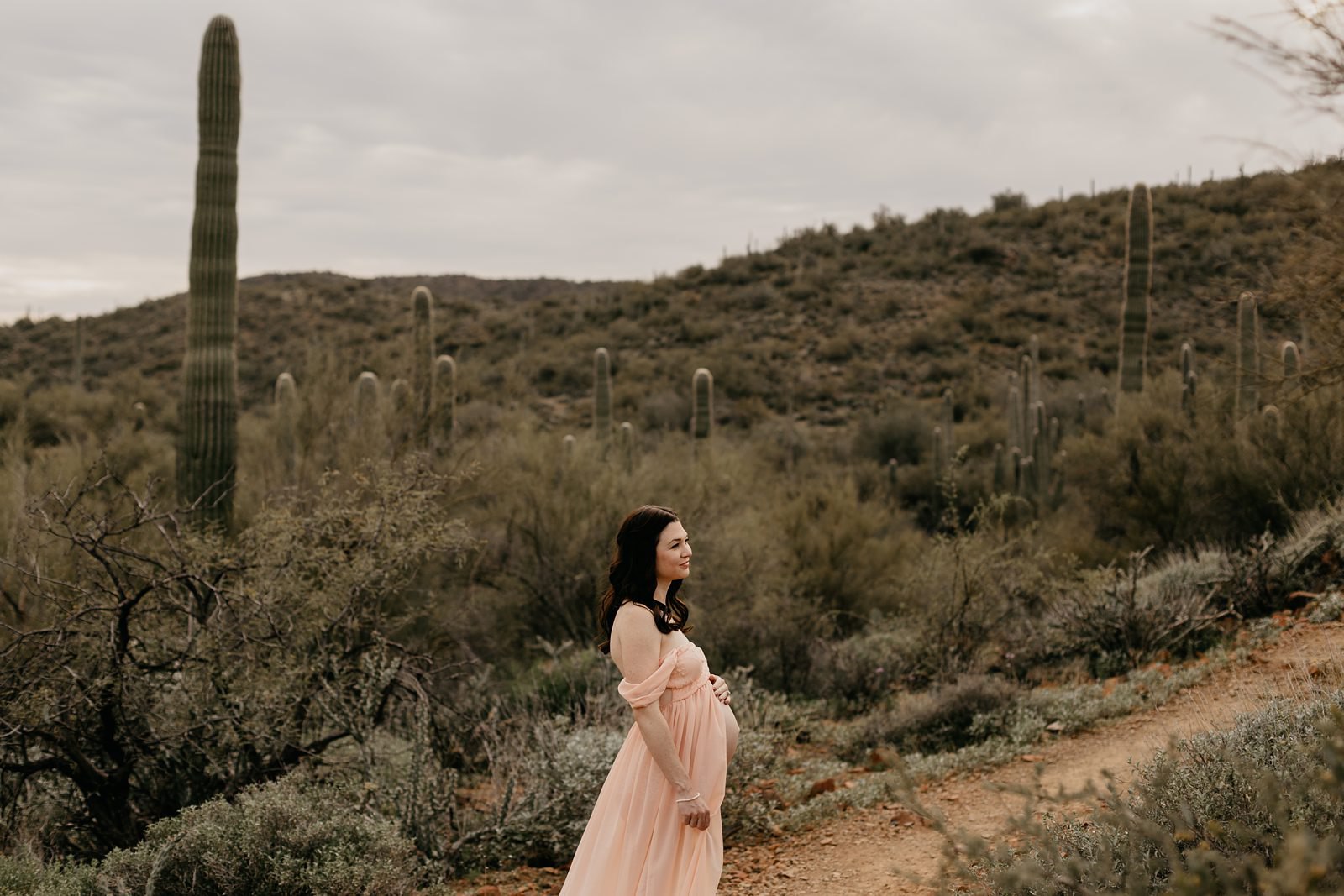 Mom in pink dress for black Canyon city cloudy desert maternity photos Arizona