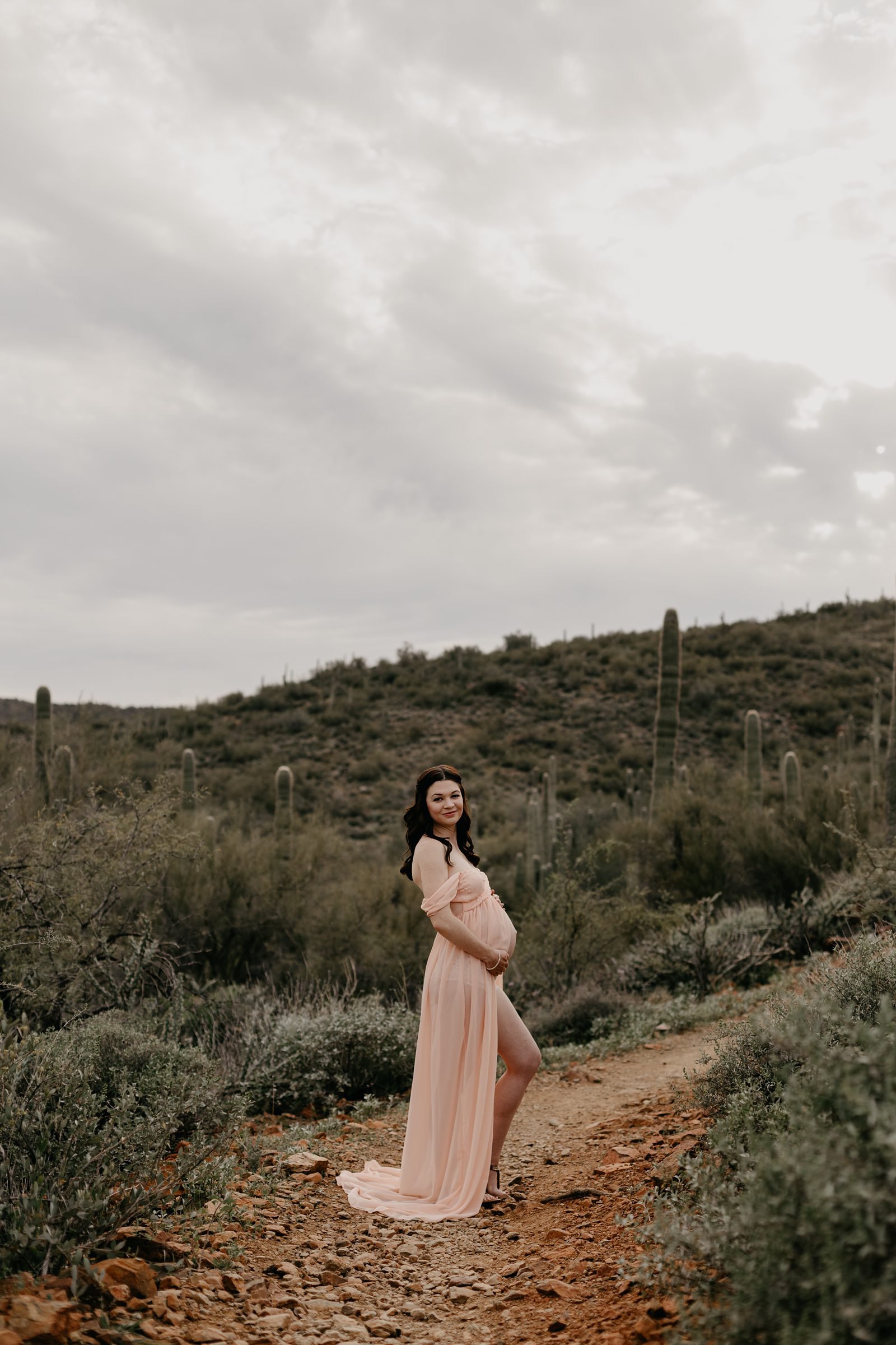 Anthem maternity photos pregnant woman in pink dress in the desert of Arizona