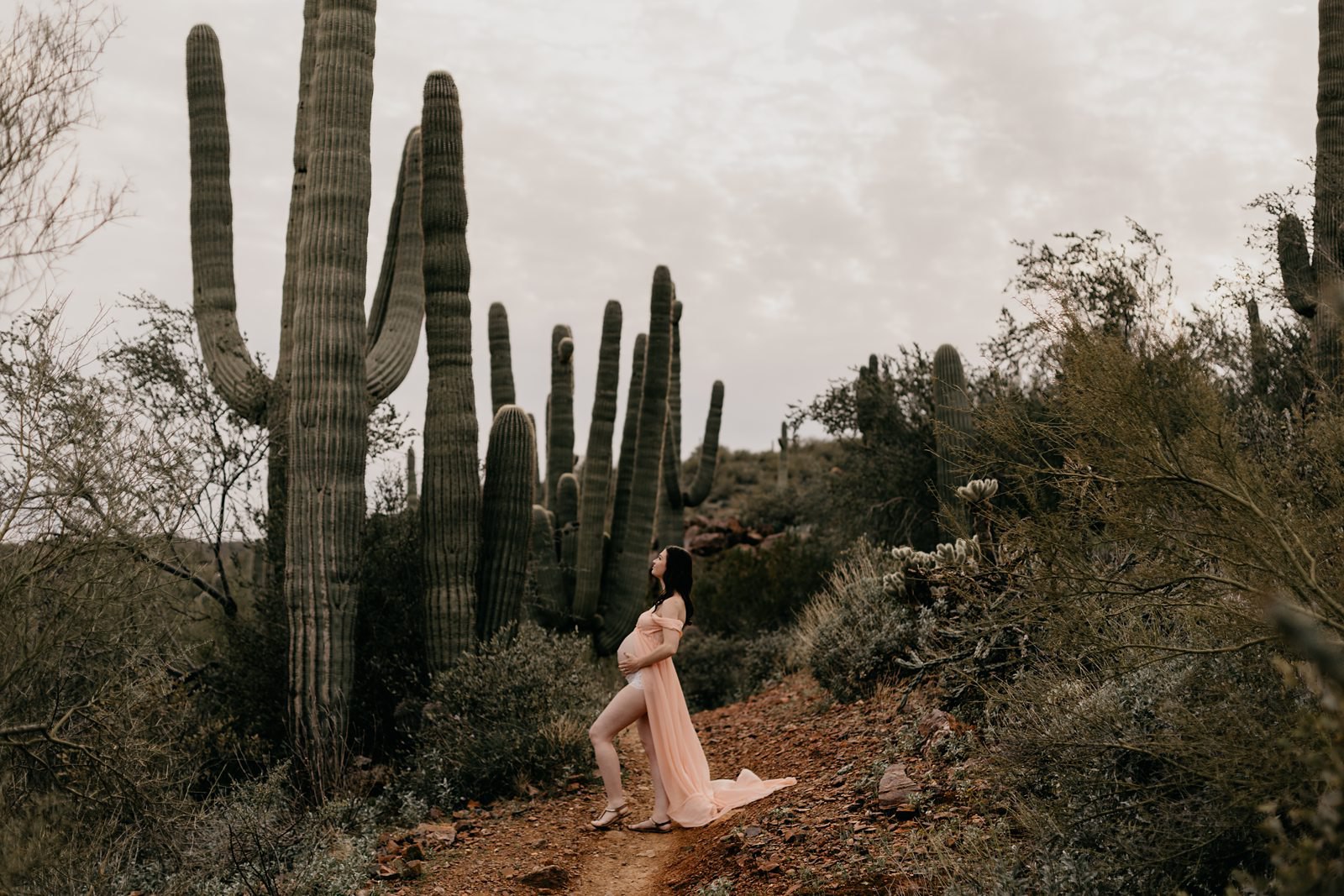 Pregnant woman in split dramatic pink dress surrounded by saguaros and cacti in the desert of Black Canyon City AZ