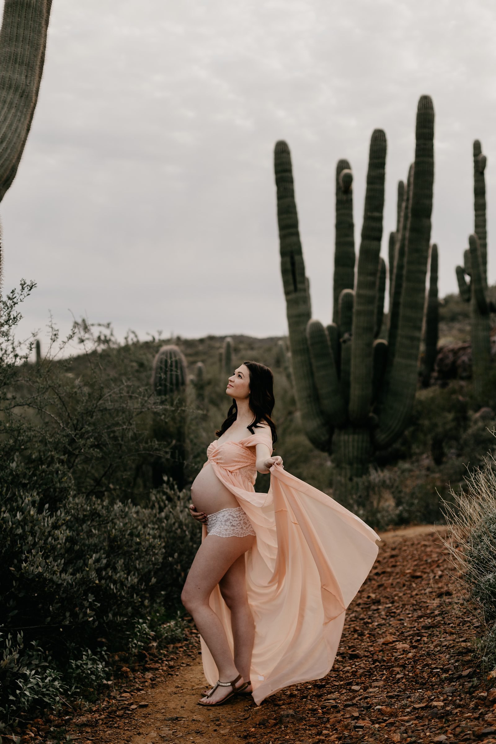 Black Canyon City Cloudy Desert maternity photos with saguaros and cactus in Arizona