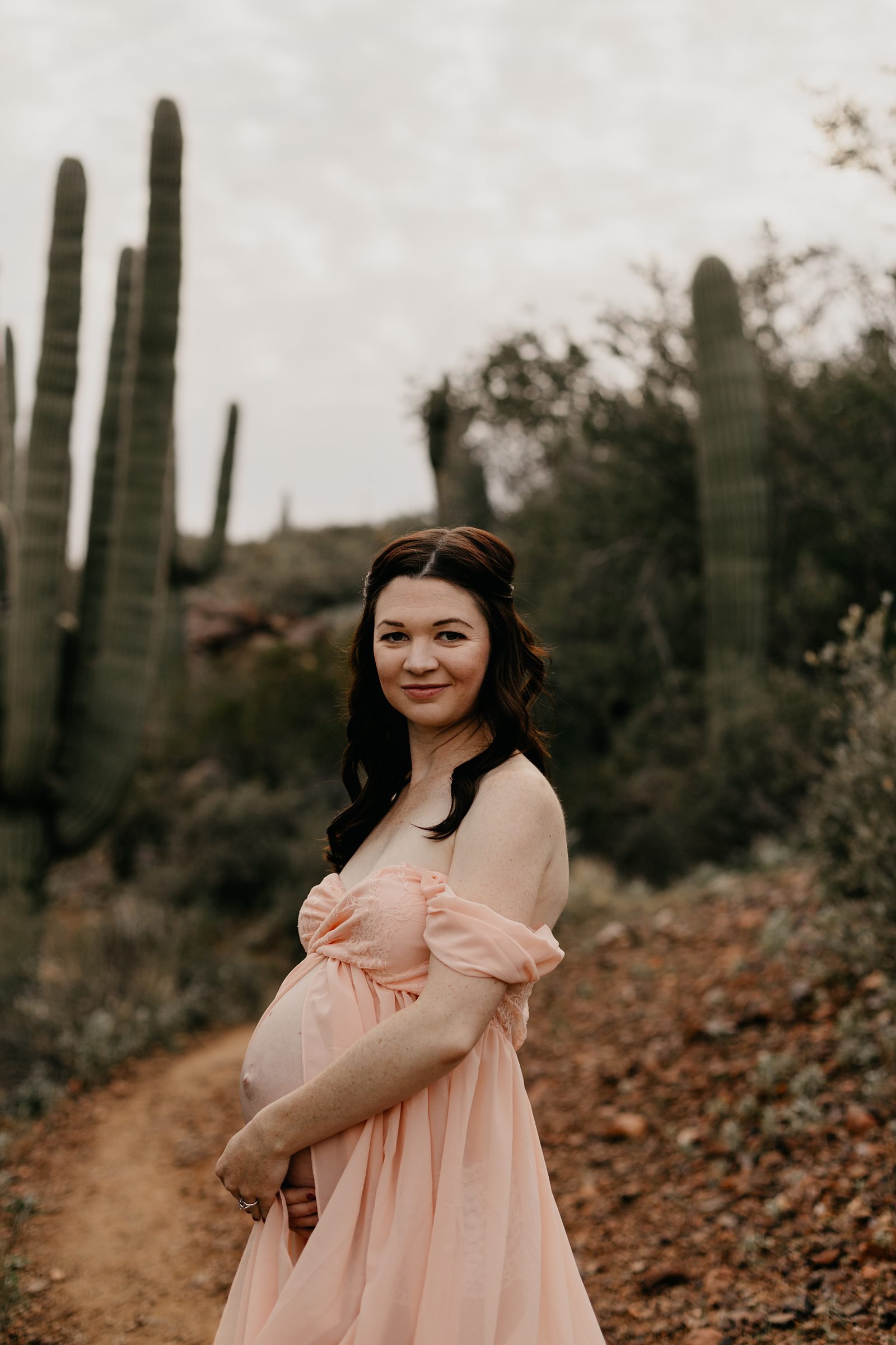 Anthem area maternity photos northern Phoenix Valley Desert pregnant woman in pink dress surrounded by cactus