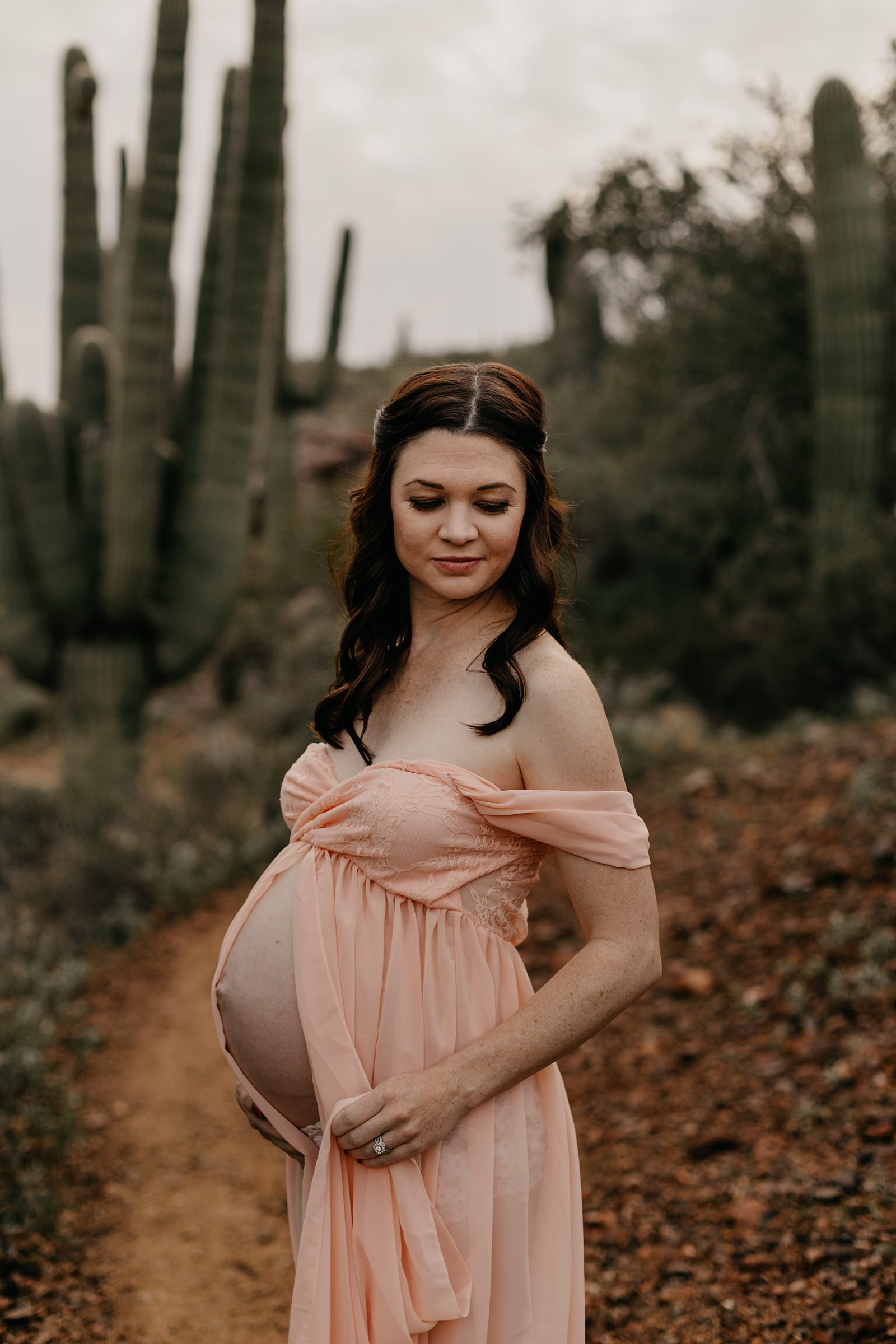 Cloudy desert maternity photos pregnant woman in pink dress with cactus