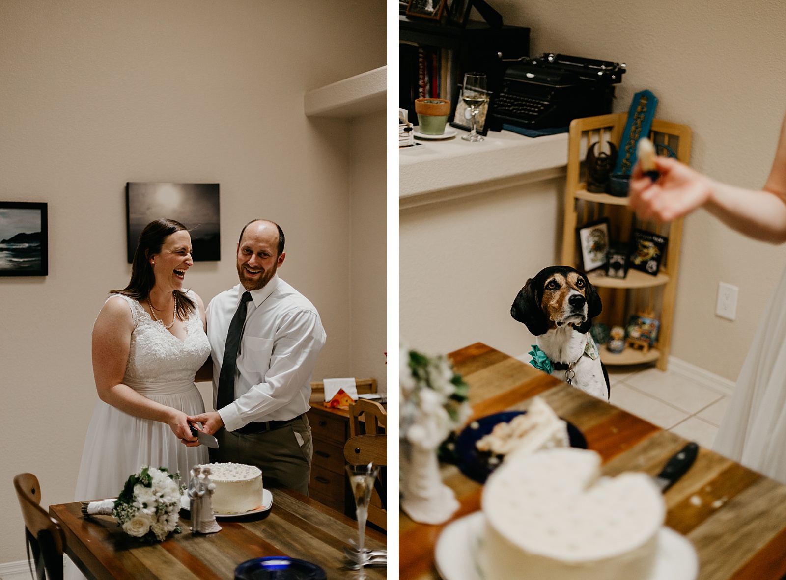 Bride and groom cutting cake in their own house for their intimate elopement