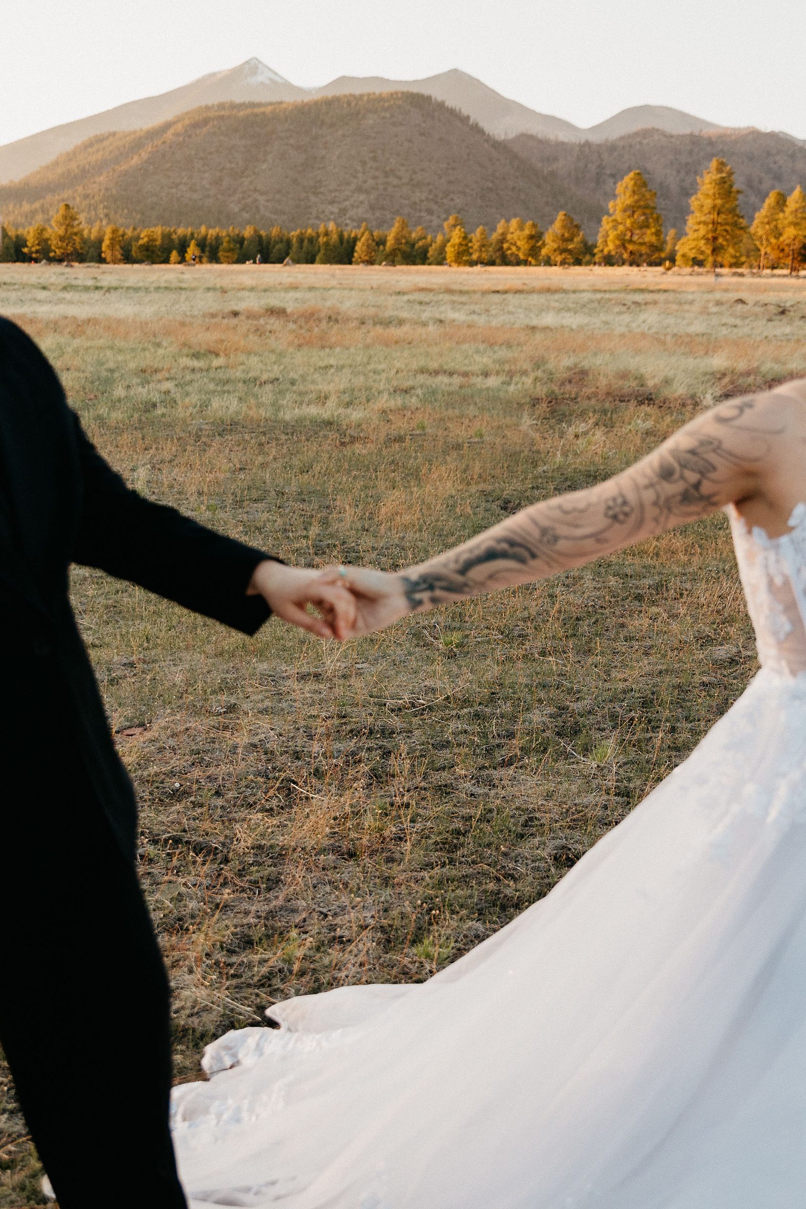 close up image of wedding couple holding hands in a field