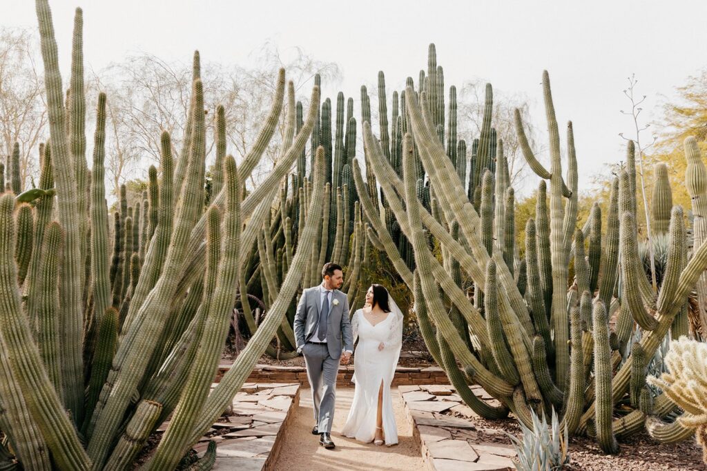 Wedding couple walking, surrounded by lots of cacti at the desert botanical garden in Phoenix, one of the best Arizona elopement locations